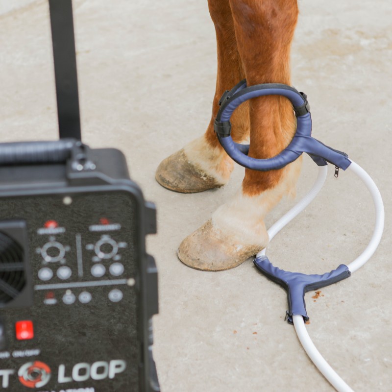 PMST LOOP PEMF Terapia Cavallo - Therapy Health And Wellness recensione e prezzo