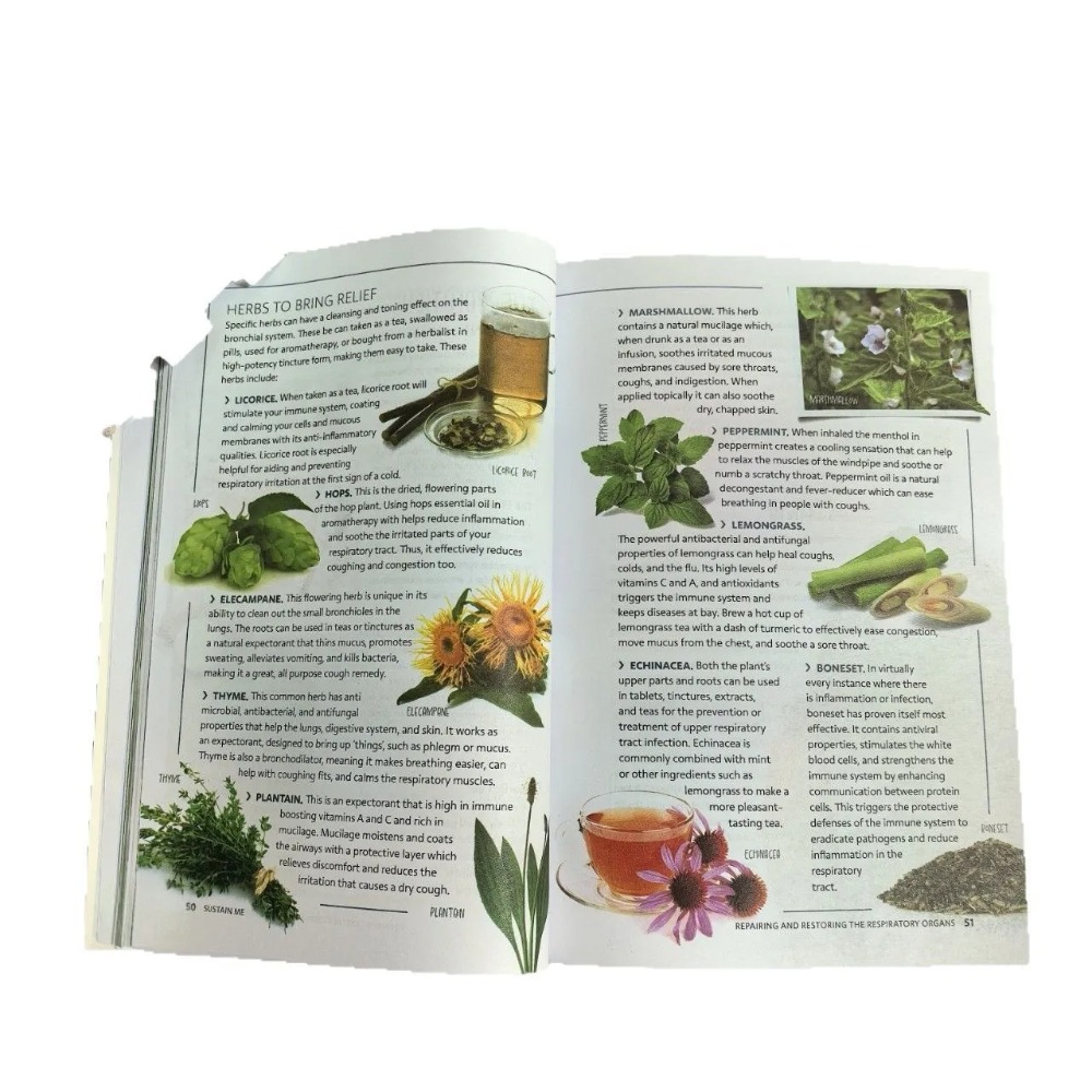 Sustain Me, Libro in Brossura  - Health Wellness Foundation recensione e prezzo