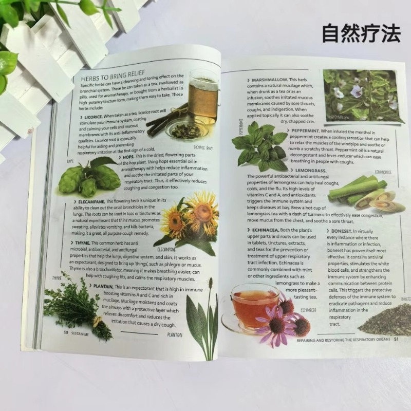 Sustain Me English Paperback d - Health Wellness Foundation recensione e prezzo