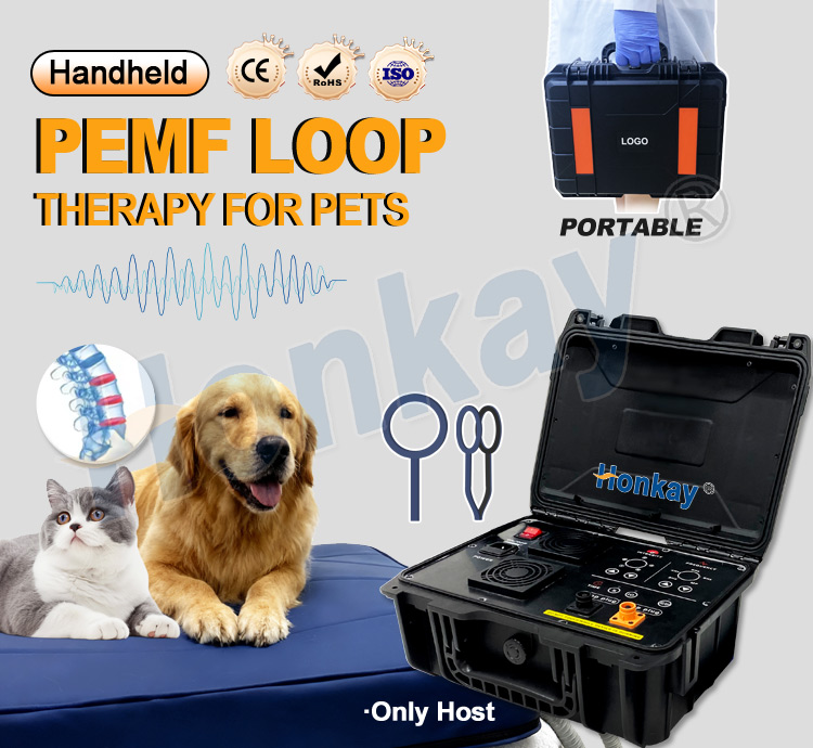 Dispositivo PEMF per la cura p - Therapy Health And Wellness recensione e prezzo