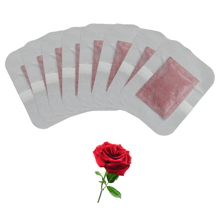 10 pz a base di erbe rosa disi - Detox Foot Patch recensione e prezzo